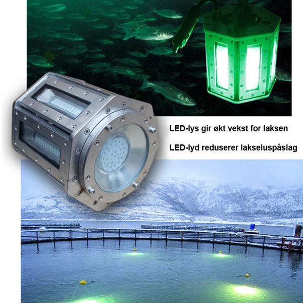 Undervannslys LED2